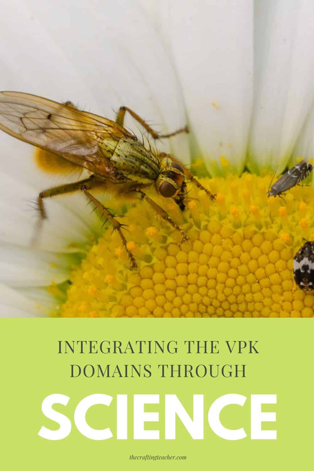 Vpk Science Lesson Integrating the VPK Domains Through Science