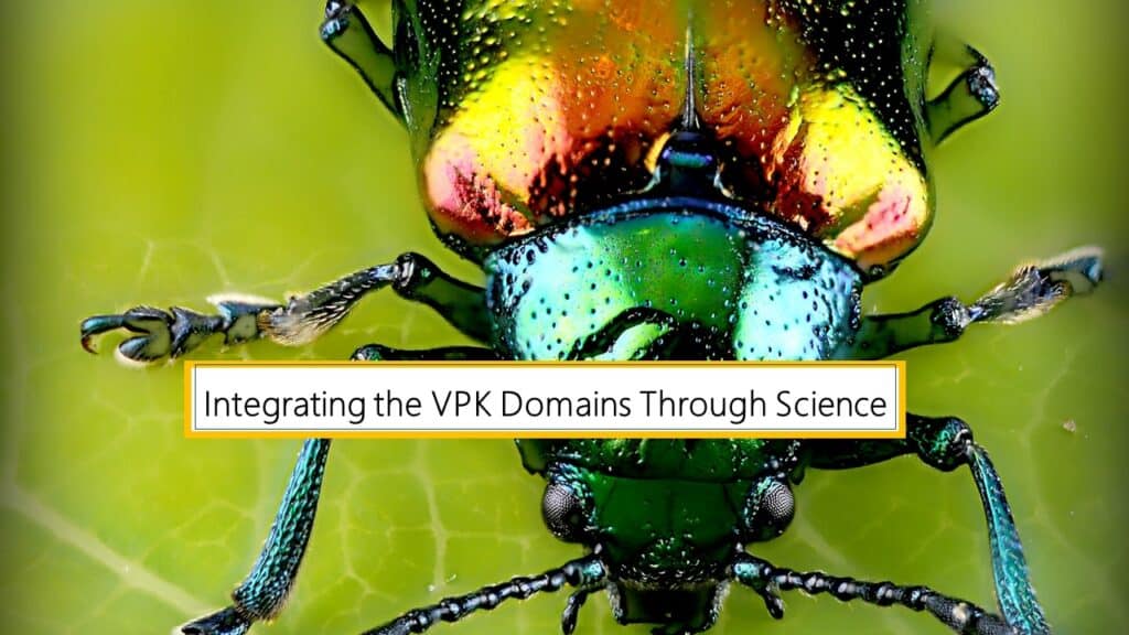 Integrating the VPK Domains Through Science
