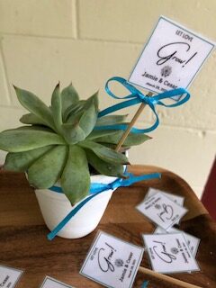 Succulent Wedding Favor