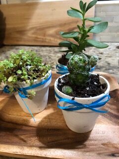 Succulent Wedding Favors