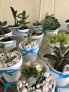 Succulent Wedding Favors