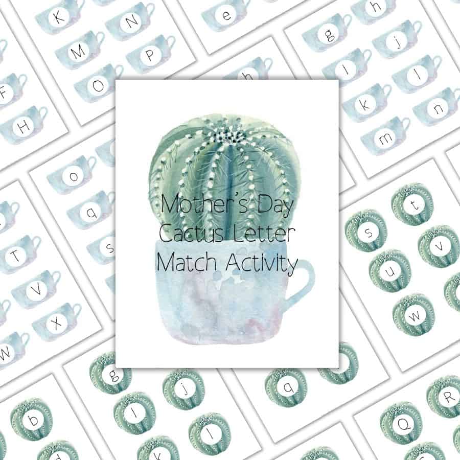 Mother's Day Cactus Letter Match