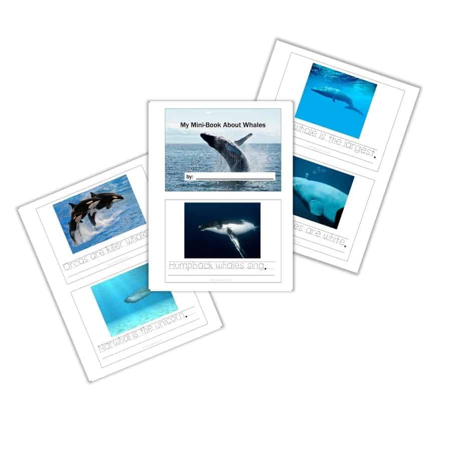 My Mini Book About Whales