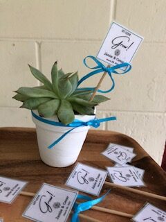 Succulent Wedding Favor