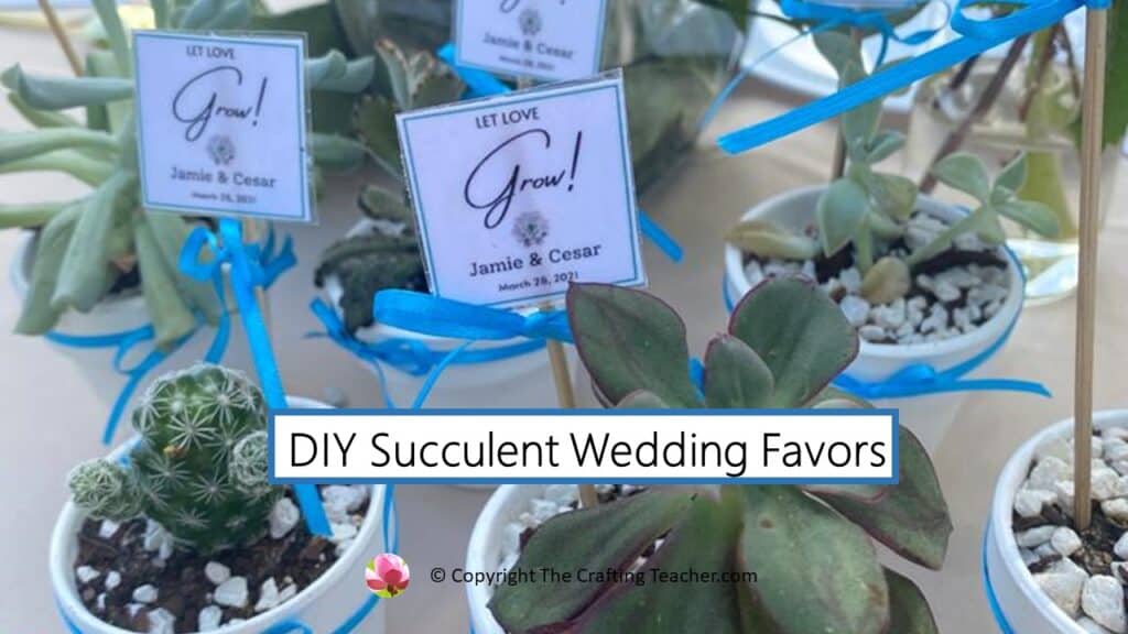 DIY Succulent Wedding Favors