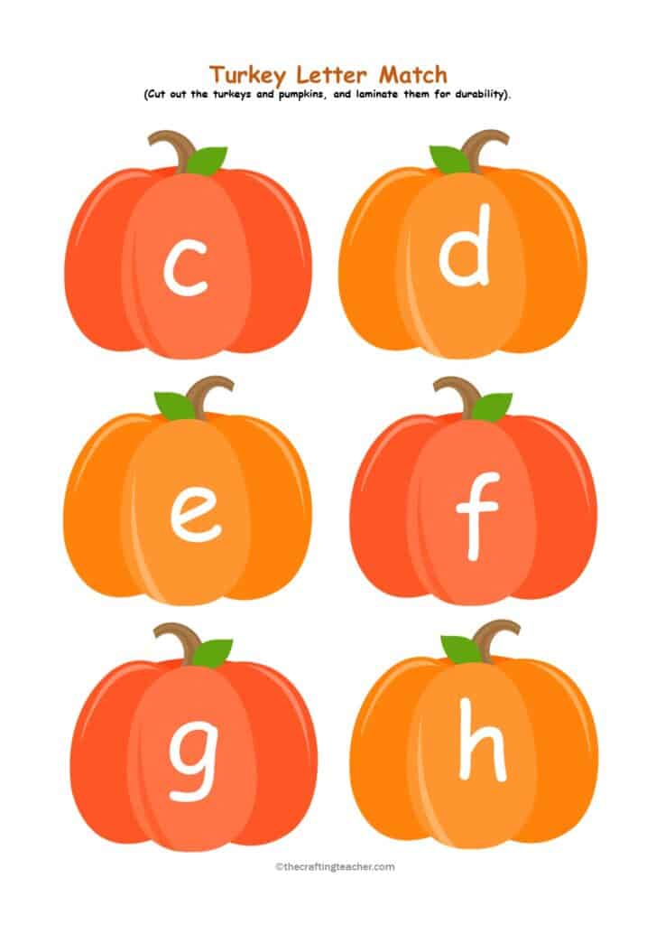 Turkey Letter Match Lowercase Letters sample
