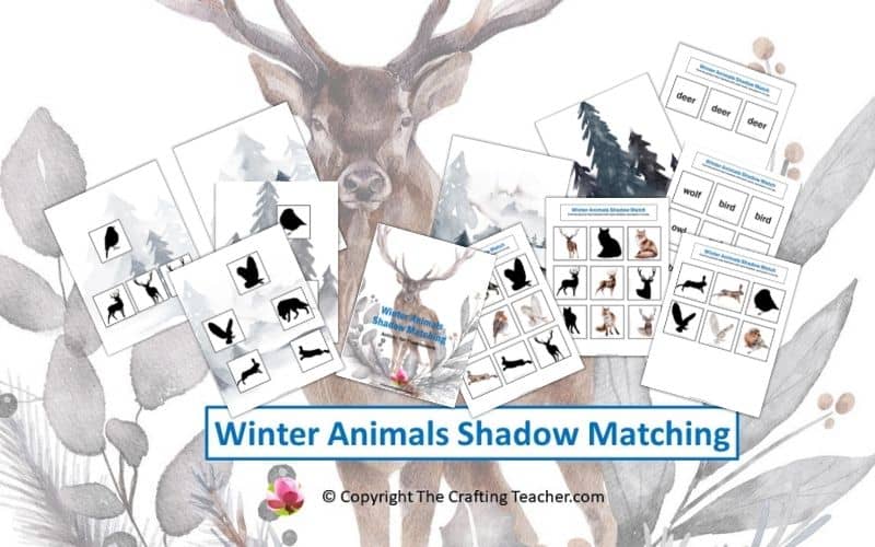 Winter Animals Shadow Matching