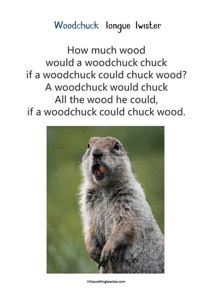 "Woodchuck" Tongue Twister poster.