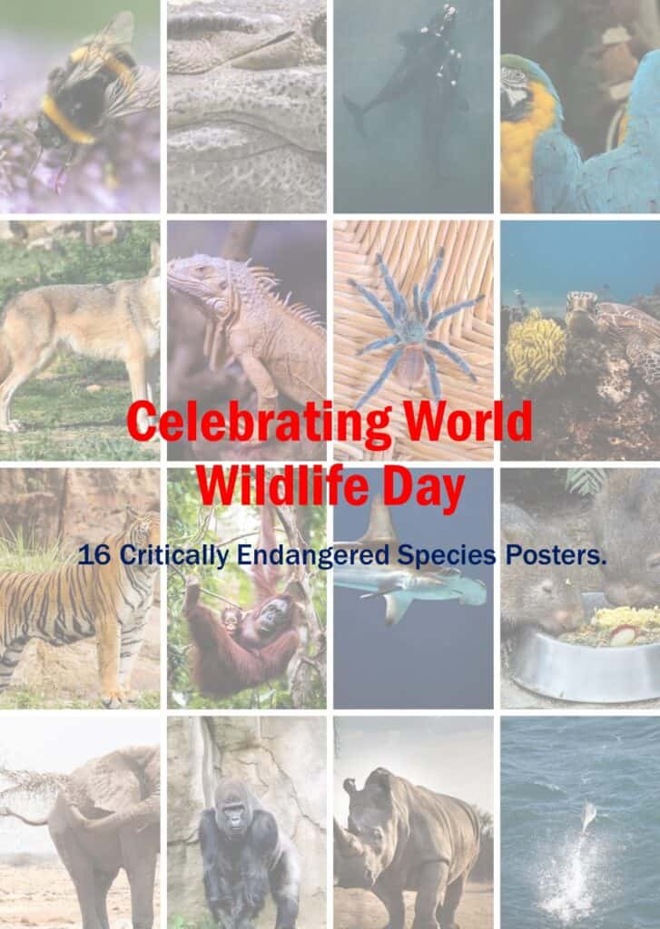 16 Critically Endangered Species posters.