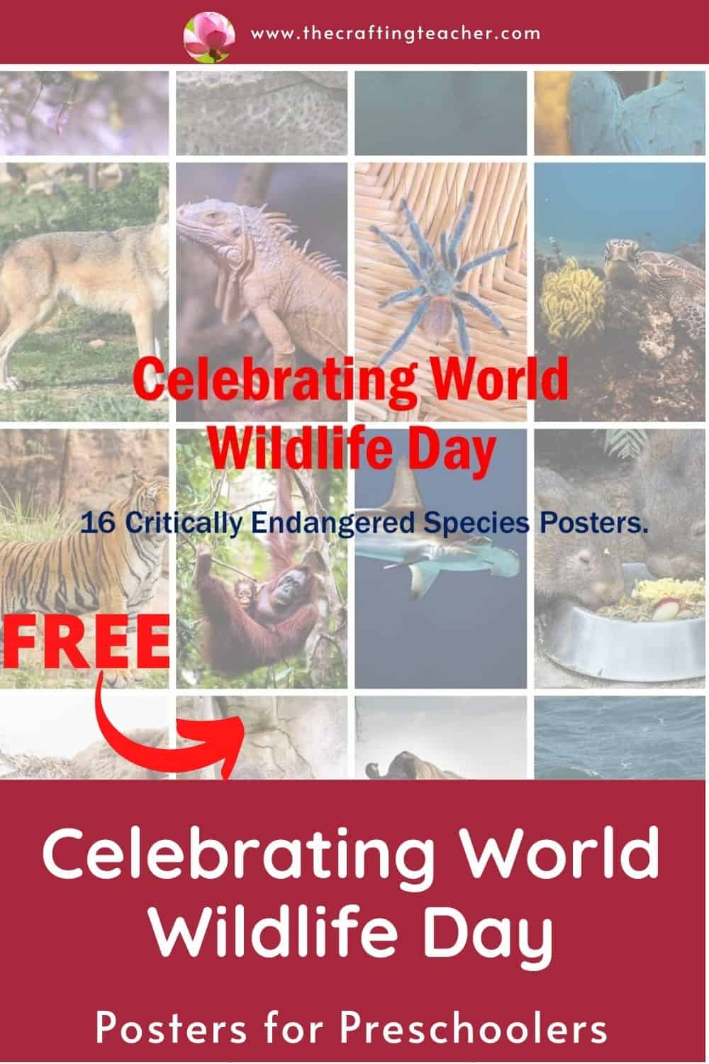 celebrating-world-wildlife-day-with-preschoolers-the-crafting-teacher