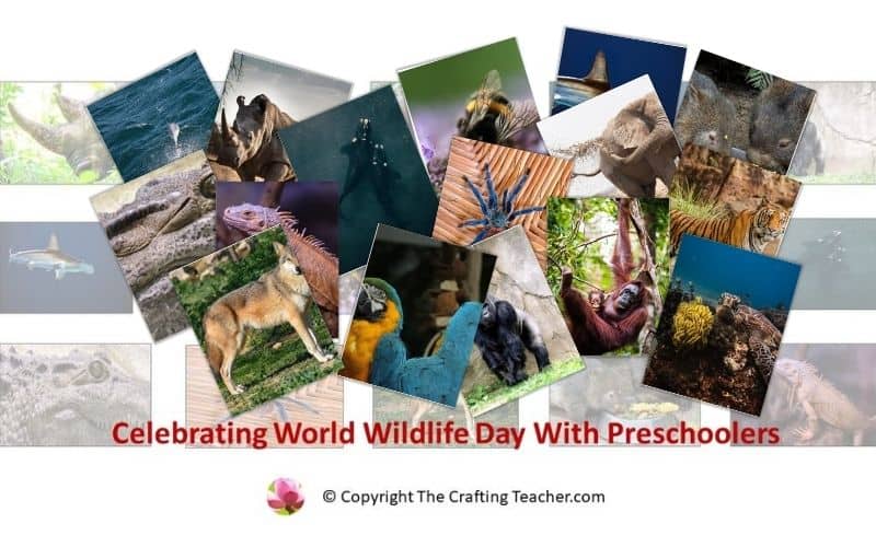 Celebrating World Wildlife Day With Preschoolers