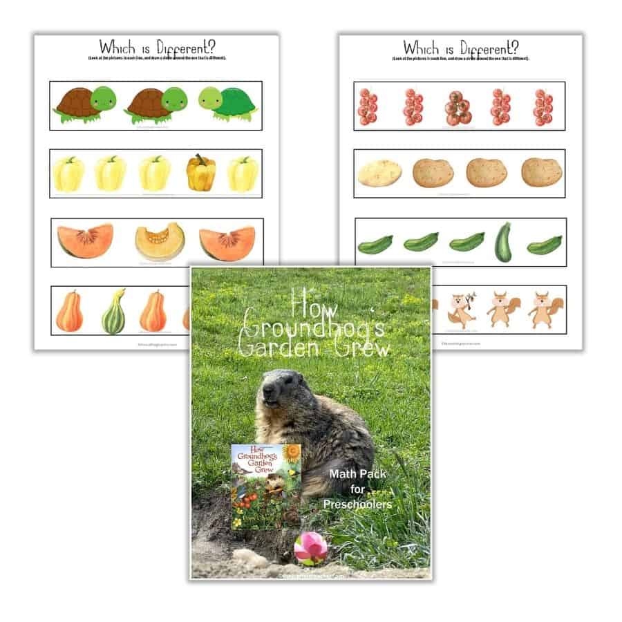 How Groundhog's Garden Grew Which is Different Activity