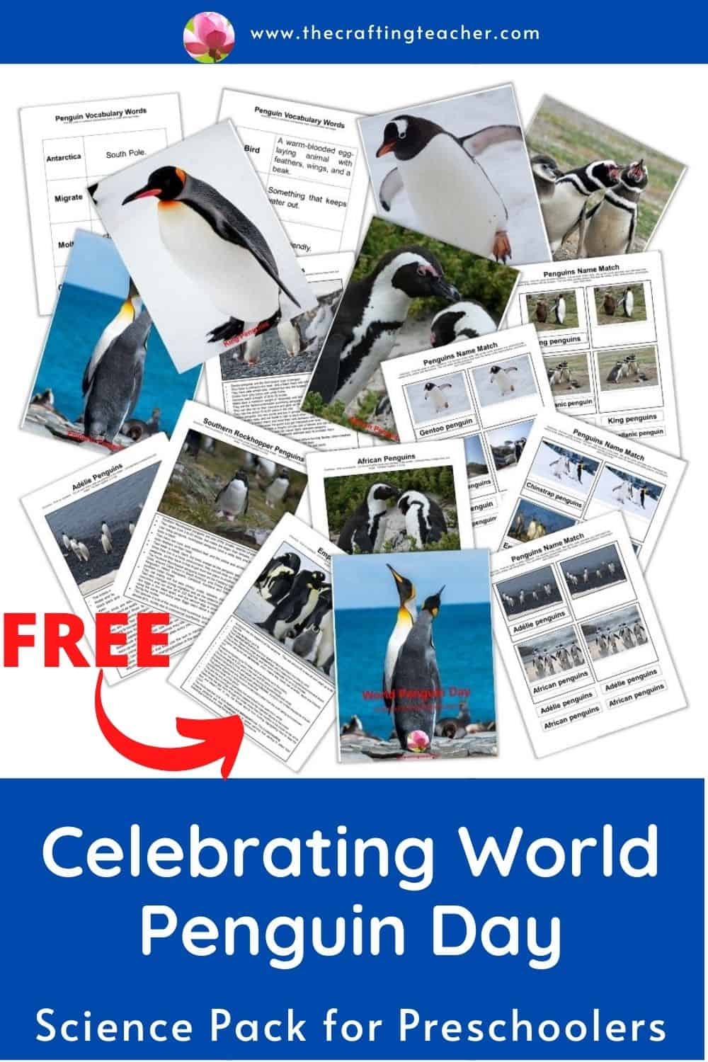 Celebrating World Penguin Day With Preschoolers - The Crafting Teacher