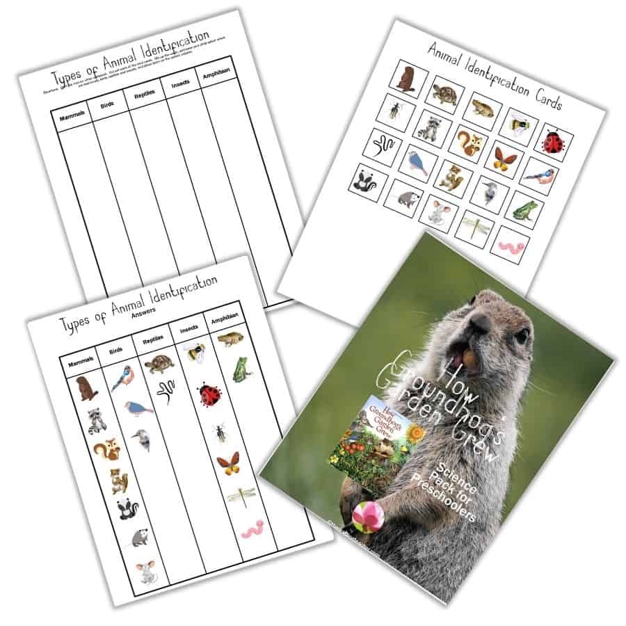 How Groundhog's Garden Grew Animal Identification Activity