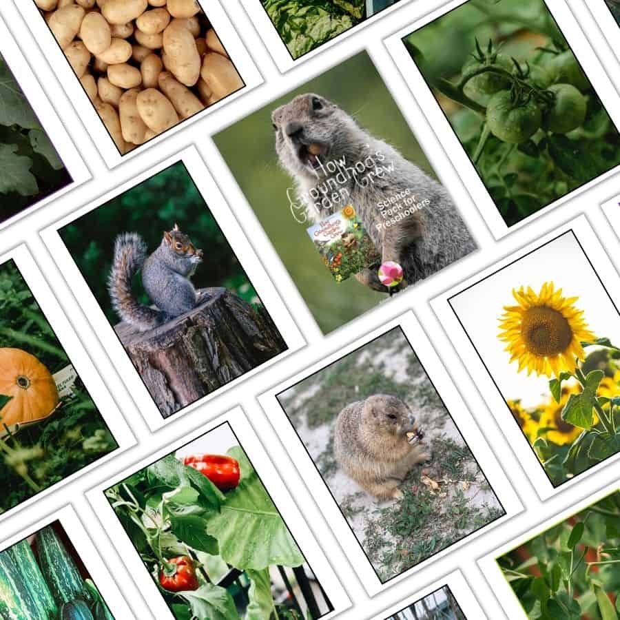 How Groundhog's Garden Grew Posters