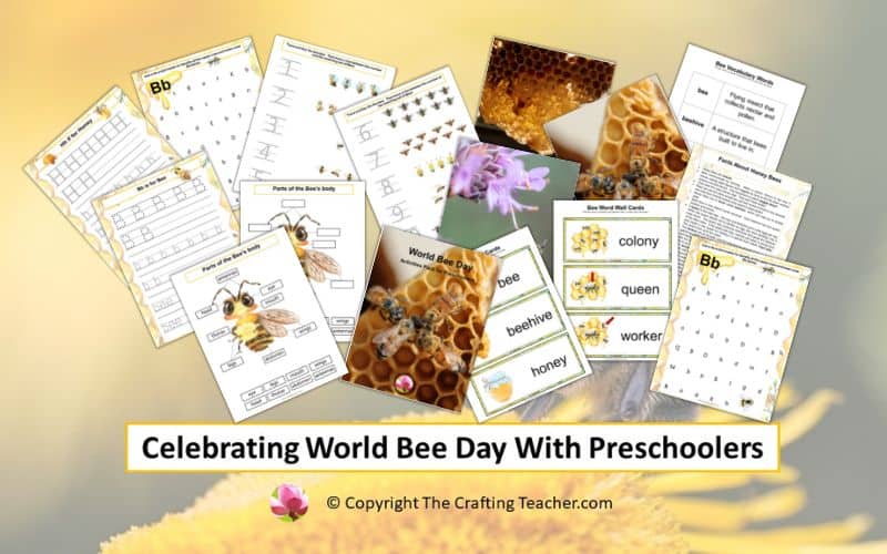 Celebrating World Bee Day With Preschoolers