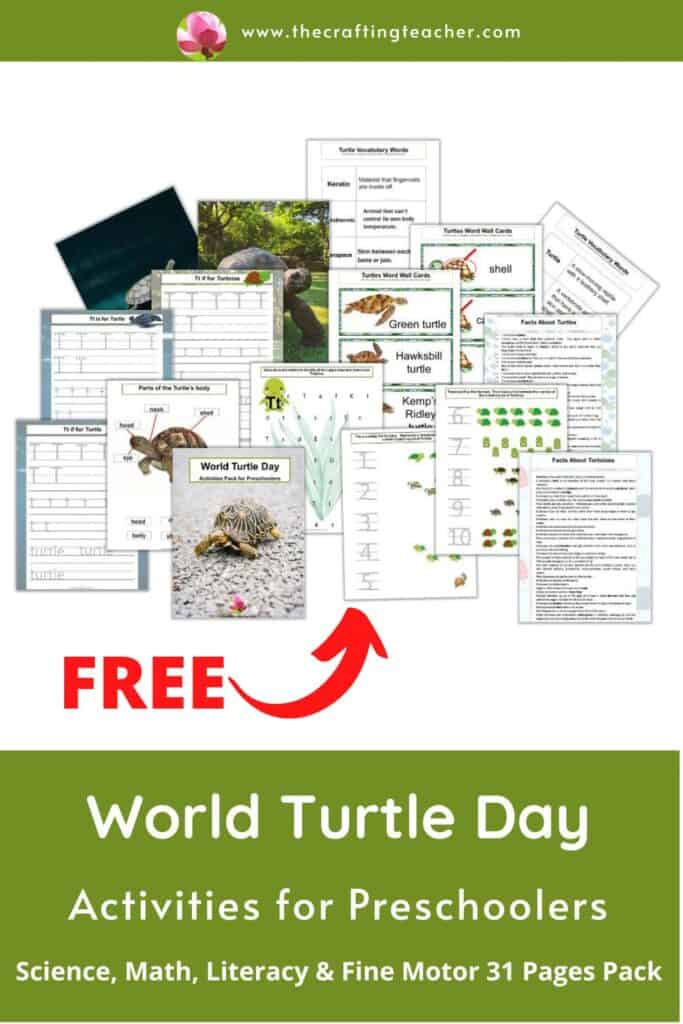 Celebrating World Turtle Day With Preschoolers