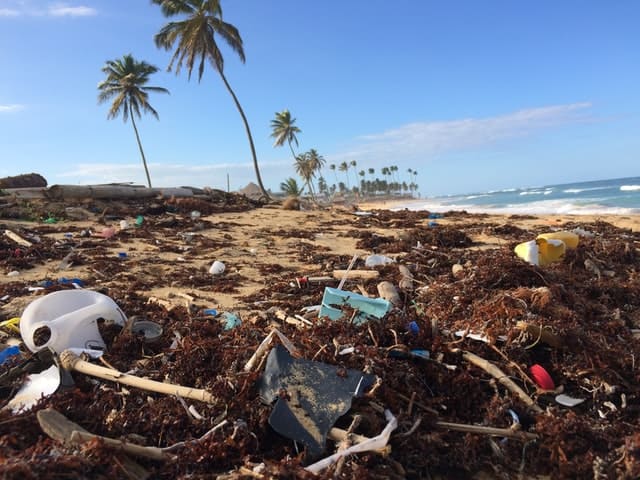 Garbage dumped on beaches - photo by Dustan Woodhouse from Unsplash