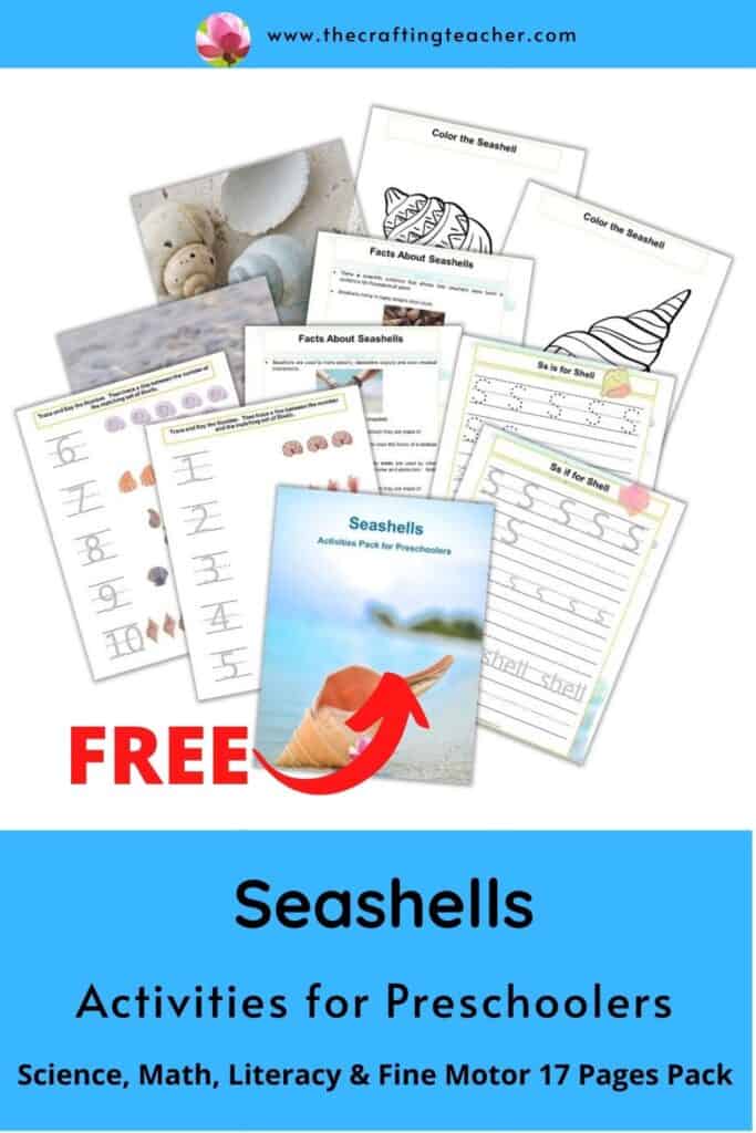 Seashells Activities for Preschoolers