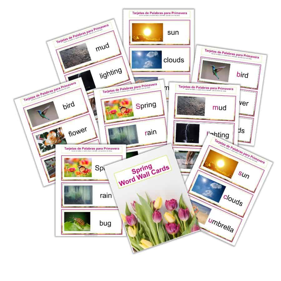 Spring Word Wall Cards - English