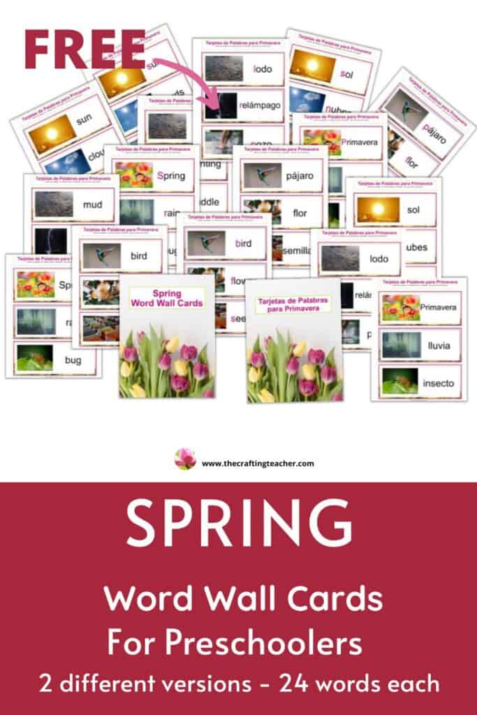 Spring Word Wall Cards - English & Spanish