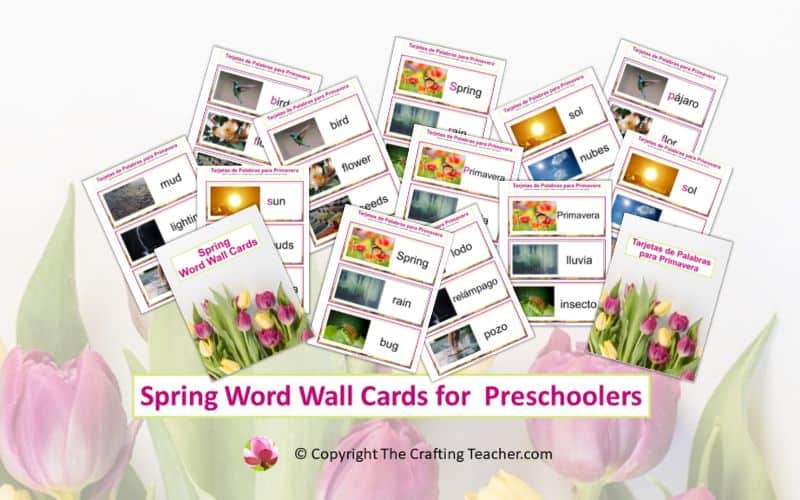 Spring Word Wall Cards for Preschoolers