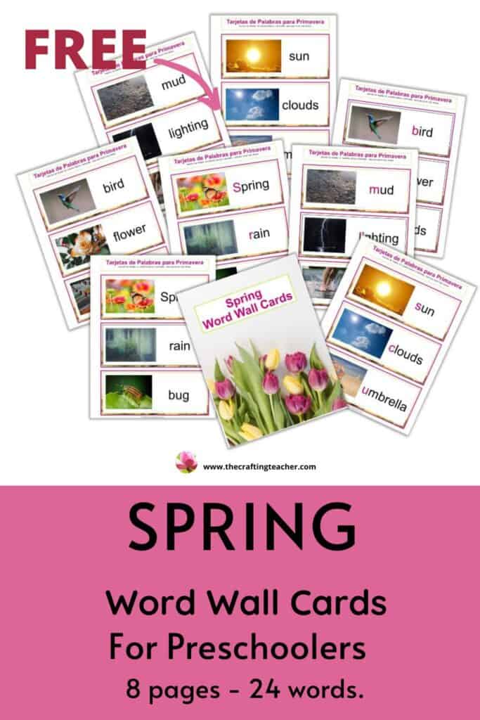 Spring Word Wall Cards in English