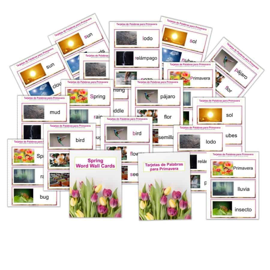 Spring Word Wall Cards - English & Spanish