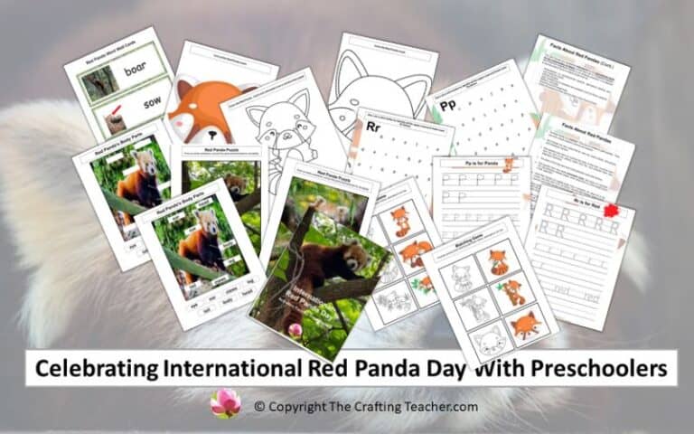 Celebrating International Red Panda Day With Preschoolers