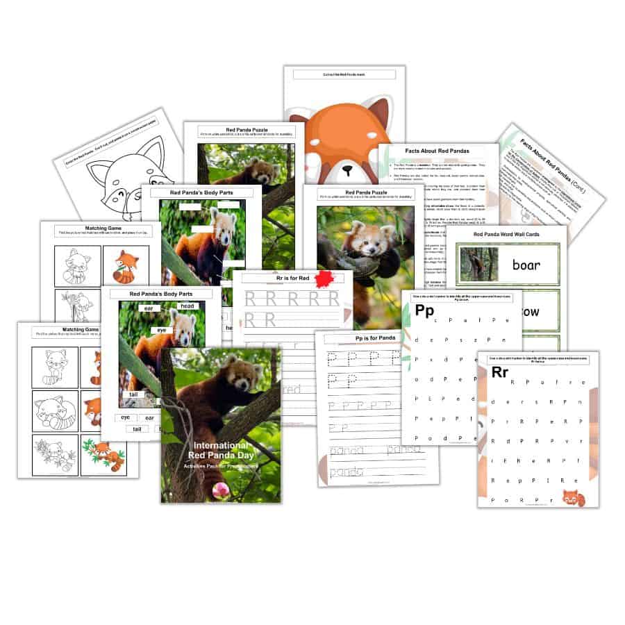 International Red Panda Day Activities Pack For Preschoolers