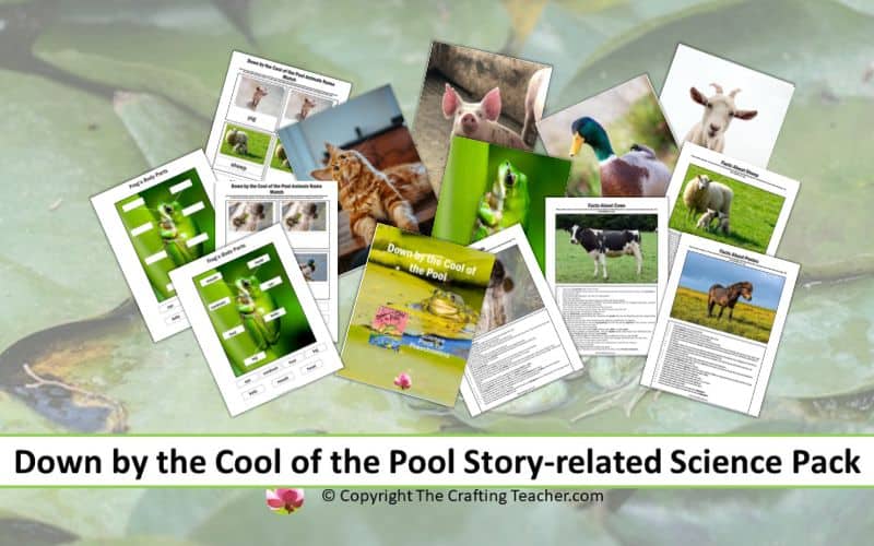 Down by the Cool of the Pool Story-related Science Pack for Preschoolers
