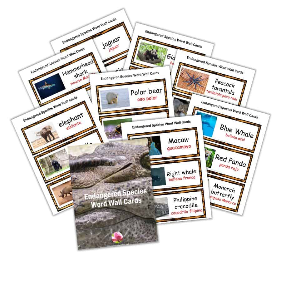 Endangered Species Word Wall Cards