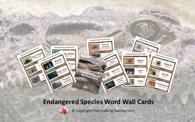Endangered Species Word Wall Cards