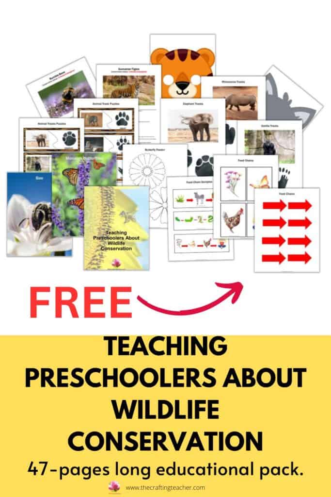 Teaching Preschoolers About Wildlife Conservation