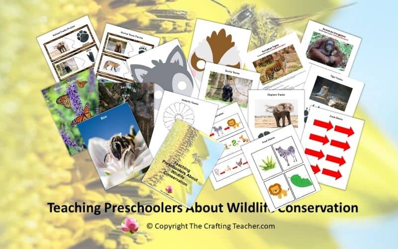 Teaching Preschoolers About Wildlife Conservation