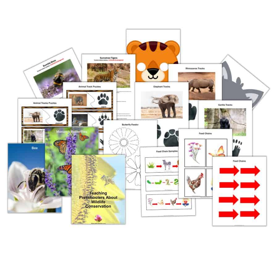 Teaching Preschoolers About Wildlife Conservation pack