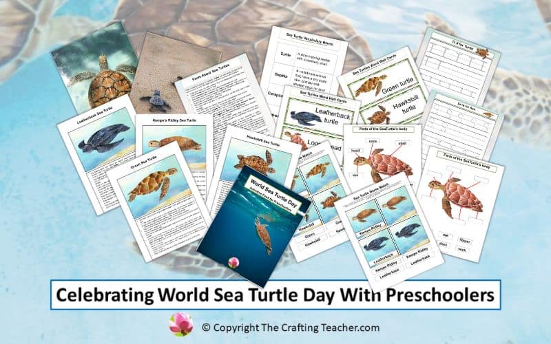 Celebrating World Sea Turtle Day with Preschoolers
