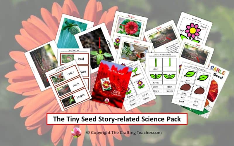 The Tiny Seed Story-related Science Pack for Preschoolers