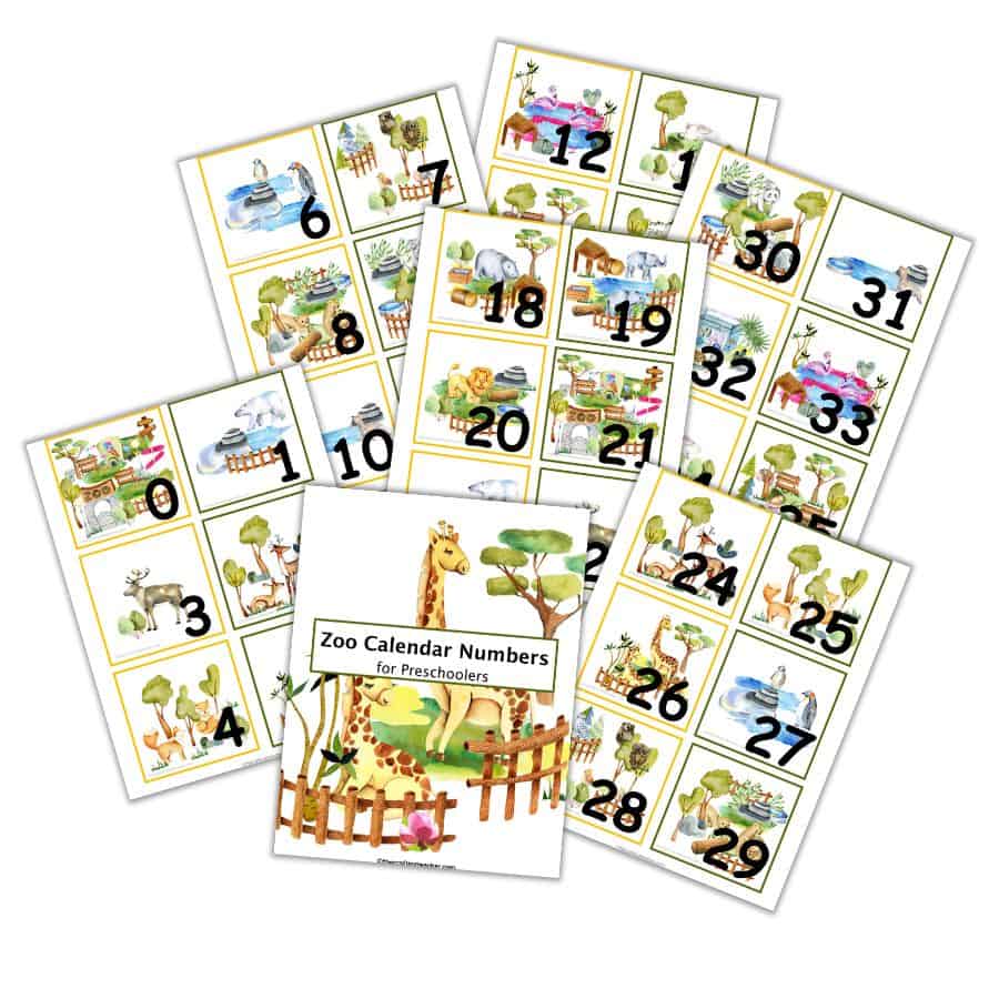 Zoo Calendar Numbers for Preschoolers 