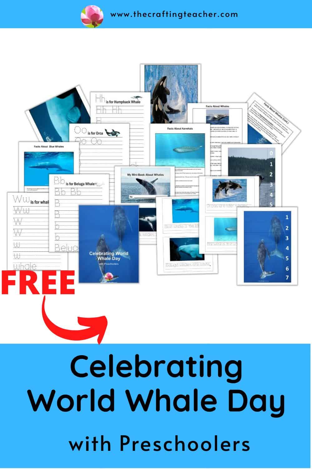 Celebrating World Whale Day with Preschoolers - The Crafting Teacher