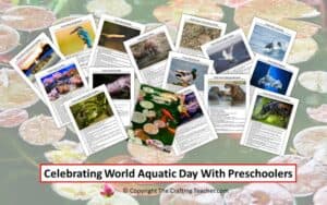 Celebrating World Aquatic Animal Day With Preschoolers