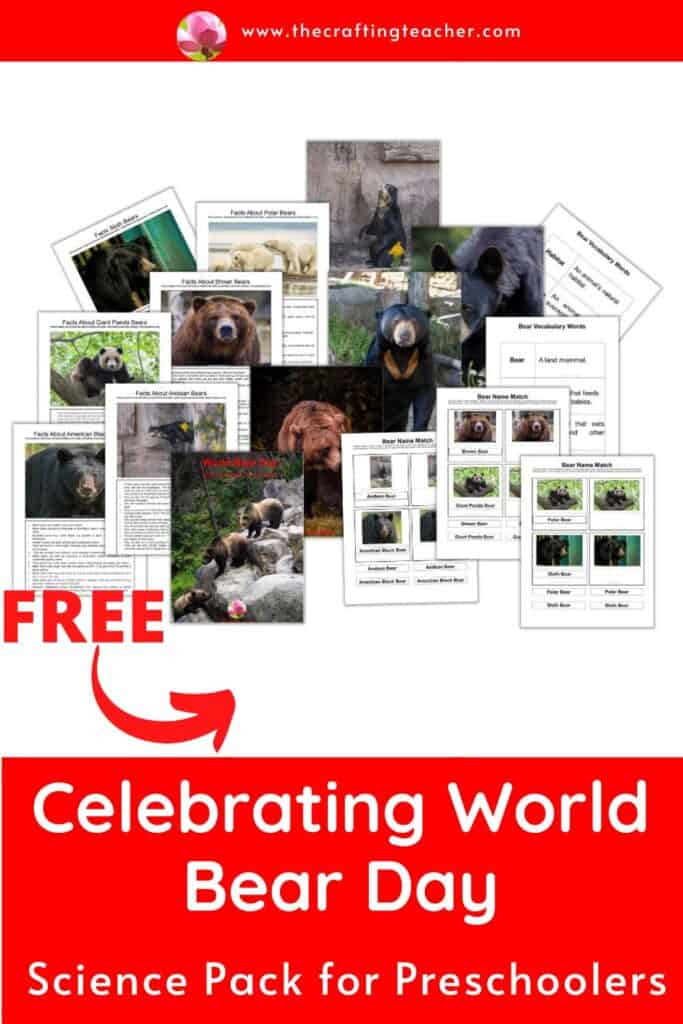 Celebrating World Bear Day