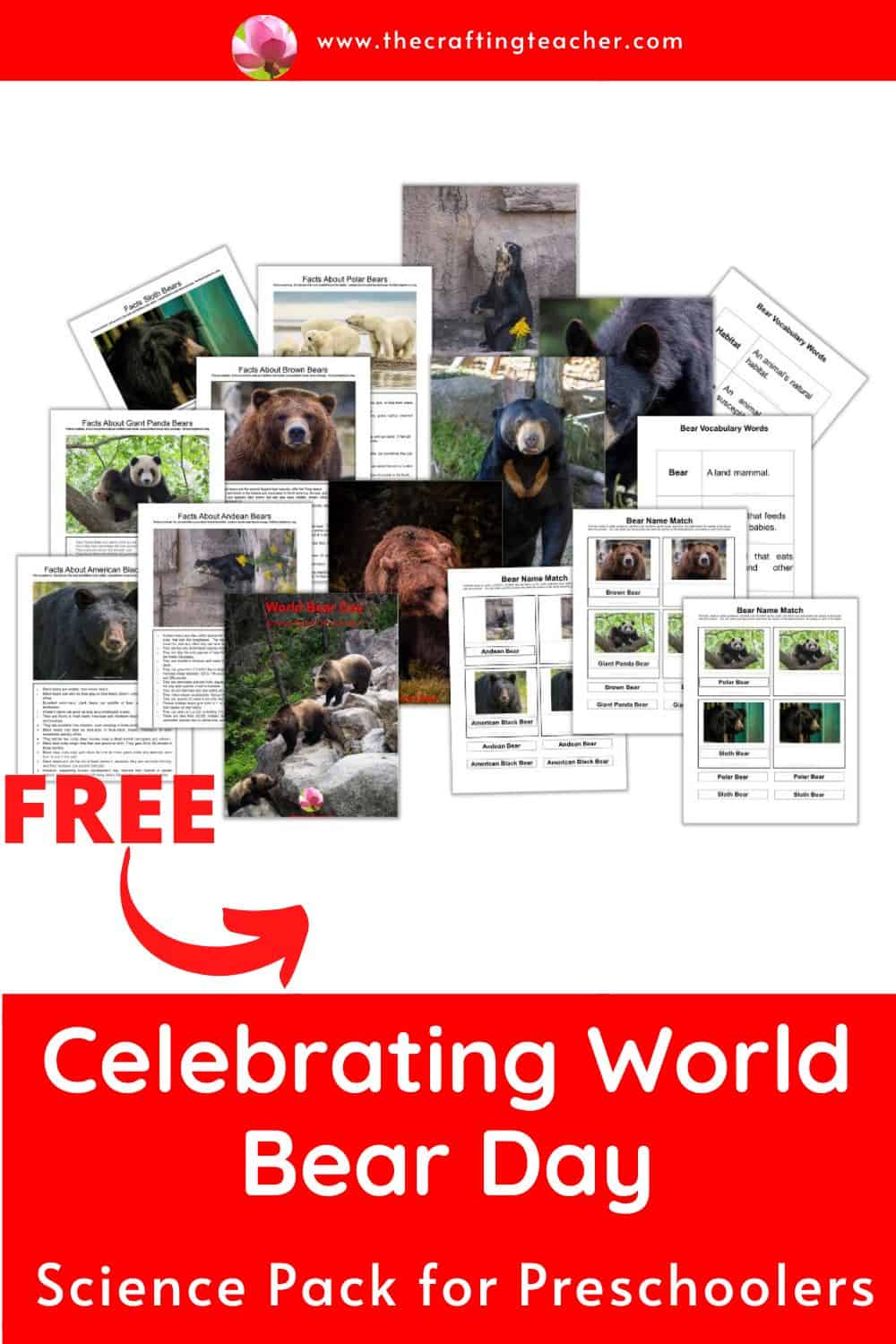 Celebrating World Bear Day with Preschoolers - The Crafting Teacher