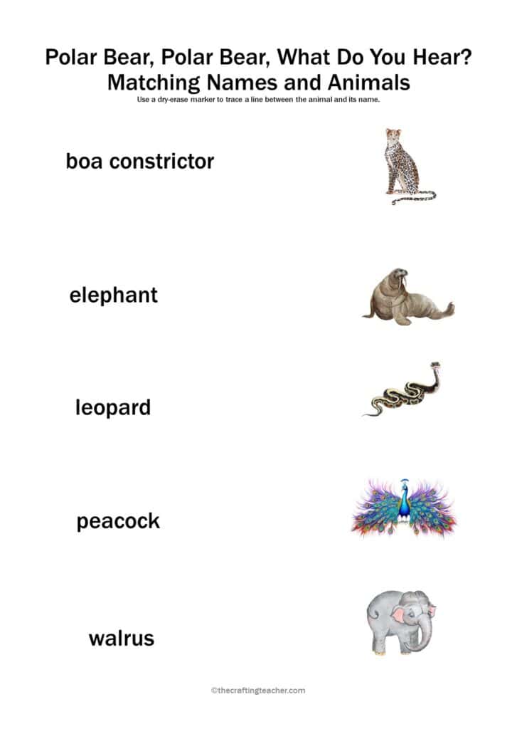 Polar Bear, Polar Bear, What Do You Hear? Matching Names and Animals Activity - page 2