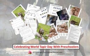 Celebrating World Tapir Day With Preschoolers