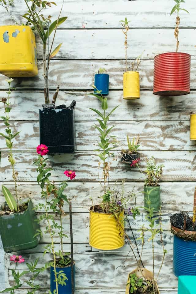 Old cans container garden by Bernard Hermant from Unsplash