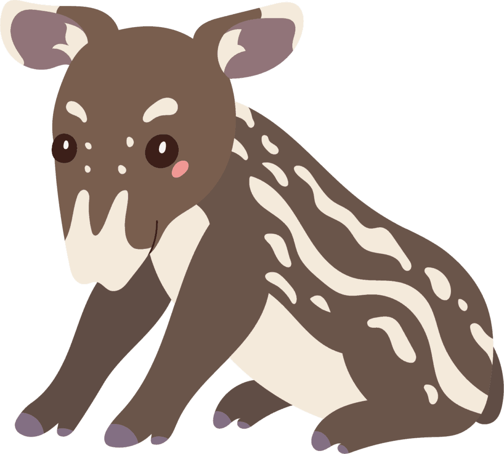 A baby Tapir is called a calf.