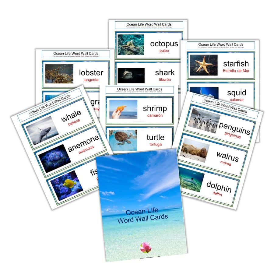 Ocean Life Word Wall Cards 