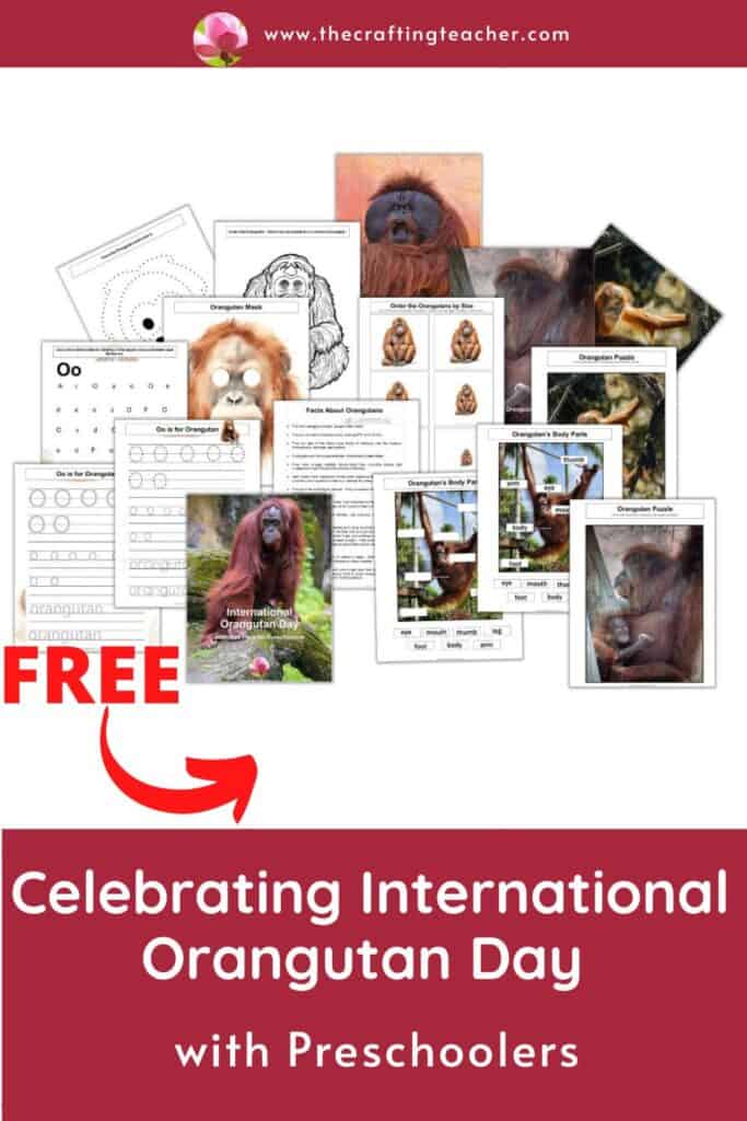 Celebrating International Orangutan Day With Preschoolers 