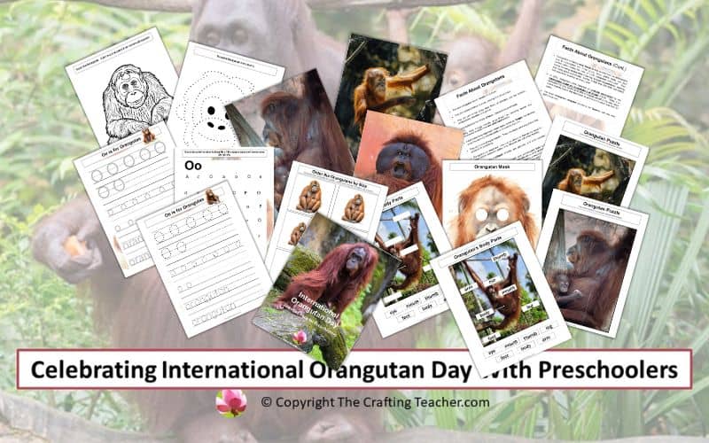 Celebrating International Orangutan Day With Preschoolers